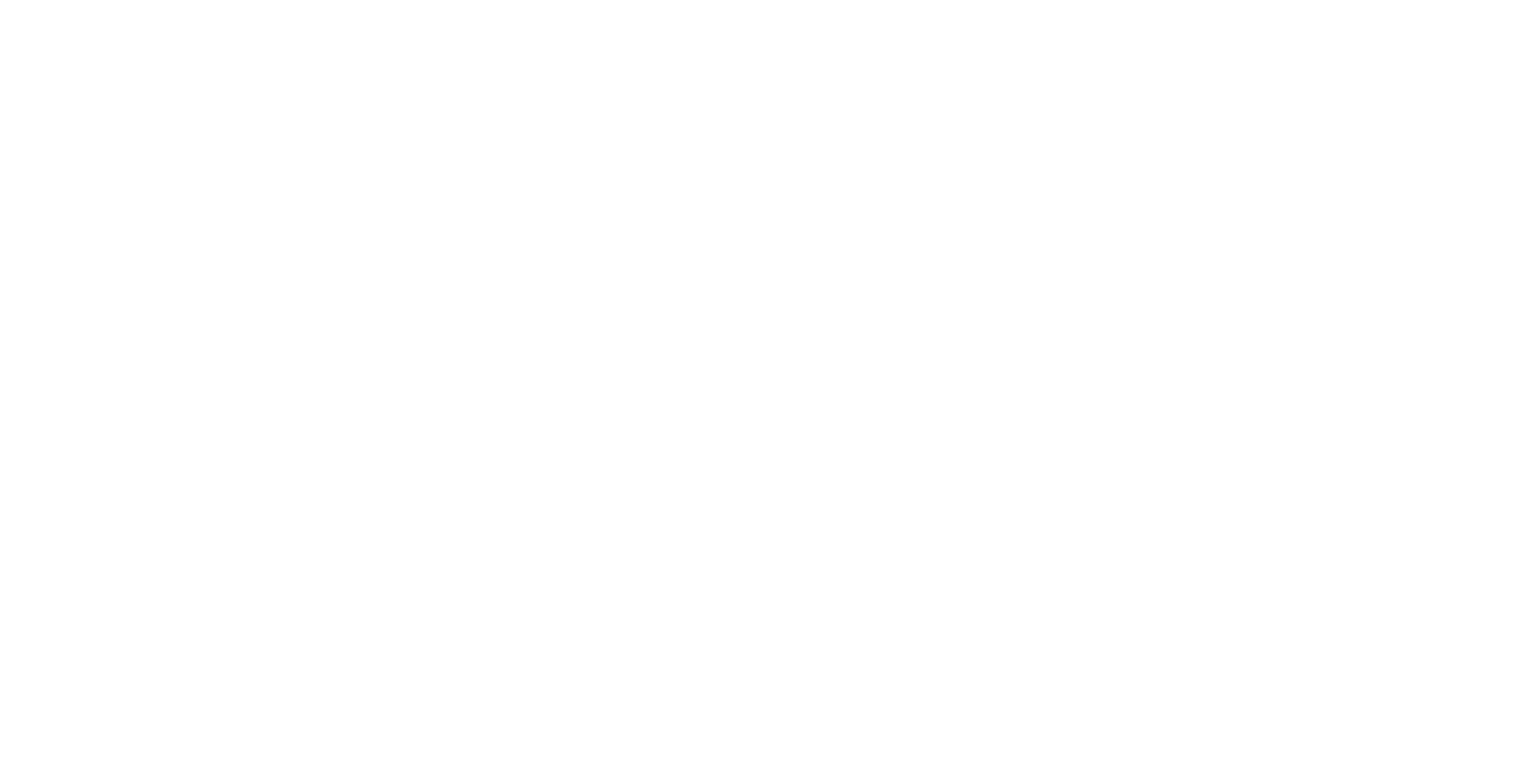 NISEKOFLY Logo